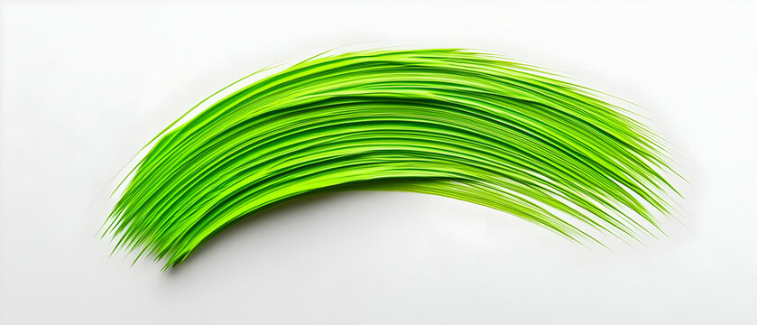 Green Paint Stroke on White Background