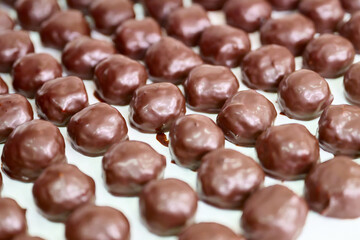 Chocolate-coated grillage displayed in a confectionery setting during a culinary event
