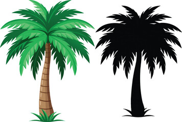 Obraz premium Palm Tree Illustration with Color and Silhouette on White Background