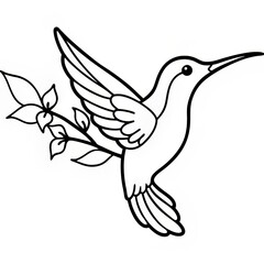 Obraz premium Hummingbird and Flower Outline Illustration
