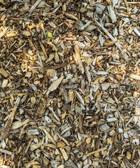 敷き詰められた落ち葉と木屑