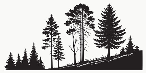 Fototapeta premium Pine Tree Silhouettes – Evergreen Forest Firs and Spruces Vector Set on White Background