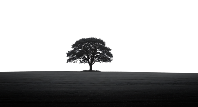 Would you like it shorter or more descriptive?