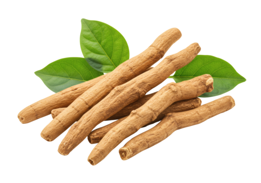 A pile of dried Ashwagandha roots with fresh vibrant green leaves isolated on a transparent background

