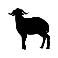 Animal Silhouette Illustration