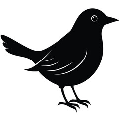 Bird silhouette on a branch vector illustration