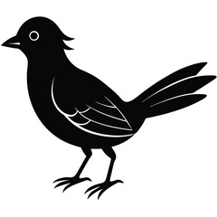 Black vector silhouette of a wild raven or crow on a branch with a feather, great for nature and wildlife design