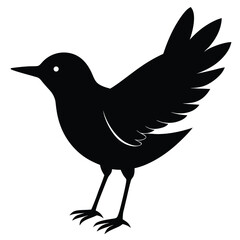 Fototapeta premium Black vector silhouette drawing of a pigeon bird on a branch illustrationBlack crow or raven bird animal silhouette illustration vector on white background
