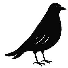 silhouette of a crow