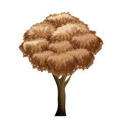 vector illustration of a tree
