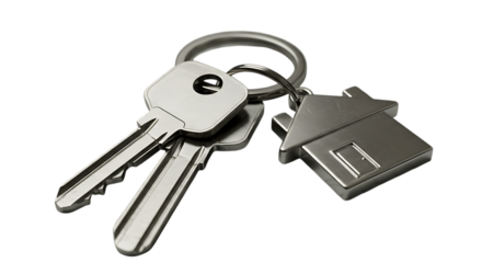 Would you like it shorter or more descriptive?