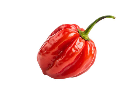 Vibrant Red Scotch Bonnet Pepper A Spicy Culinary Delight