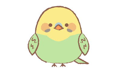 かわいいインコの手描き風のキャラクターイラスト