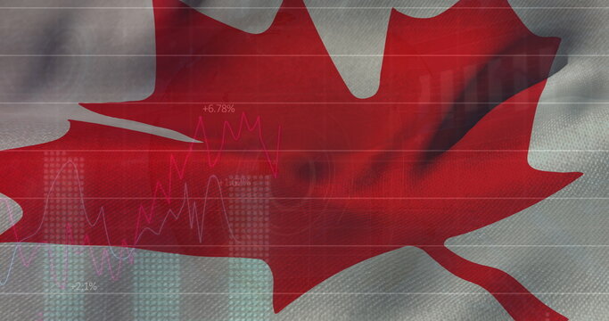 Naklejki Image of statistical data processing against canada flag in background
