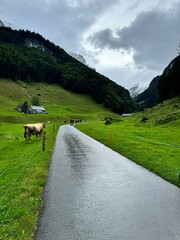 road to the mountains