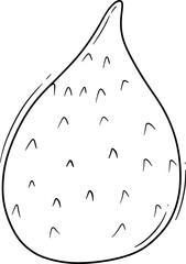 Illustration of a snakefruit