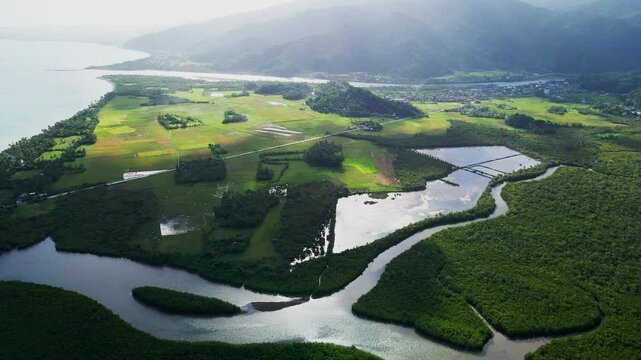 Preserved Environment Of The Batalay Mangrove Eco Park In Bato, Catanduanes, Philippines. Aerial Drone Shot