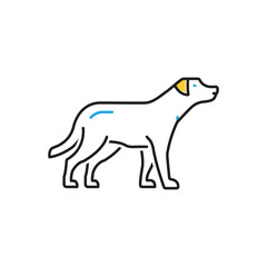Multi color icon for dog