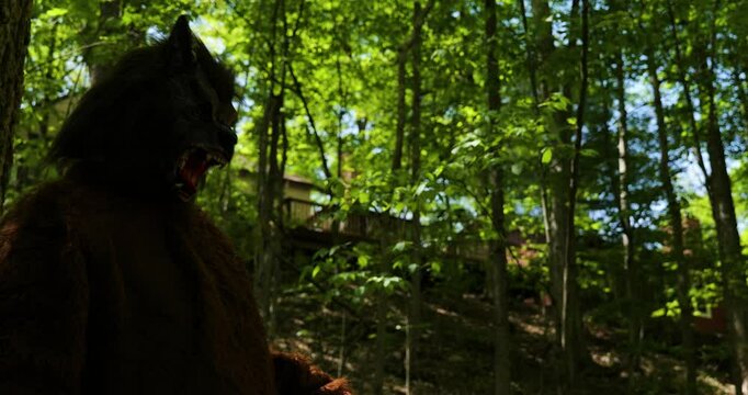 Dogman Werewolf, cryptid walks in the woods during the day