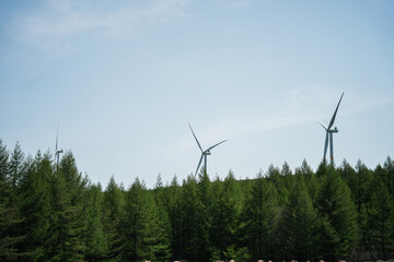Wind turbine above green forest under clear blue sky on sunny day, showing clean energy and nature harmony