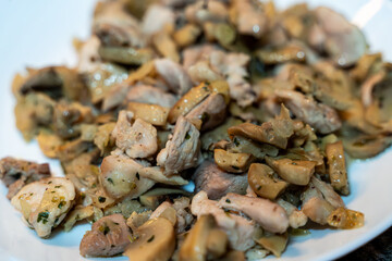 Macro shot of sautéed chicken and mixed mushrooms served on a white plate. Selective focus highlights the texture of the dish with a blurred background.
