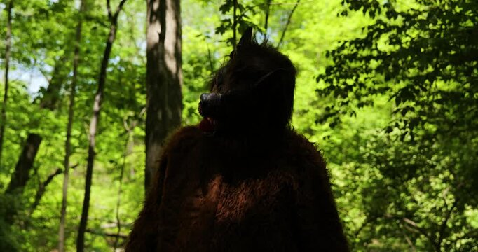 Dogman Werewolf, cryptid walks in the woods during the day