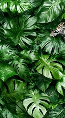Lush Green Tropical Foliage with Camouflaged Leopard Photo