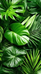 Lush Green Tropical Foliage Vibrant Leaf Textures and Patterns