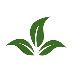 Green Leaf Illustration Nature's Simplicity, Eco-Friendly Design Element, Vector Graphic, Organic Symbol, Botanical Illustration for Branding and Logos