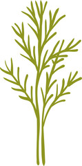 Dill Herb Vector Graphic on Black