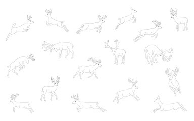 Black line drawing set of deer silhouette in running and jumping poses, isolated on background. Vector illustration.
