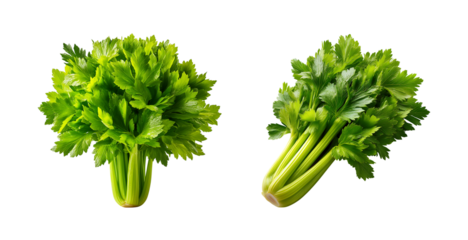 Set of Different organic fresh bunch of celery isolated on a transparent background