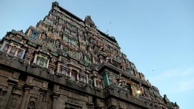 Birds flying around the huge tower of Nataraja Temple, Chidambaram, Tamil Nadu, India