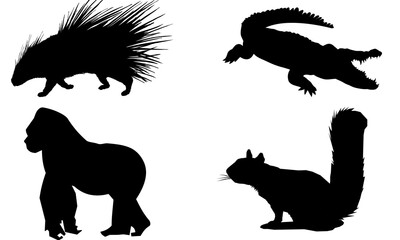 Collection of Farm Animals Including Crocodile , Gorilla, Squirrel and  Itchy on Transparent Background