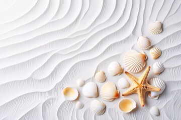 White Textured Sand with Seashells and Starfish. Minimalist Beach Background for Summer, Vacation, and Coastal Design Concepts.