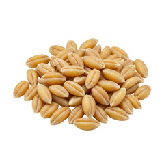 Small pile of ultra realistic UHD spelt berries on a transparent background, clear contours, contrast, standalone full object, no shadows, slightly high angle shot, concept for food