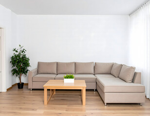 Modern living room with sofa