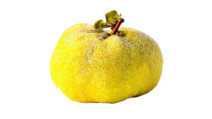 Fresh yellow quince with natural texture, white isolate background.