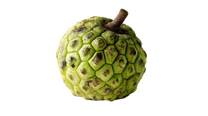 Green custard apple on a white isolated background.