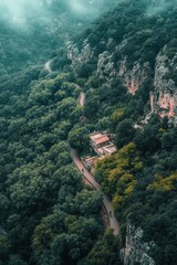 Cyclist riding along winding path through lush forest aerial view scenic landscape nature exploration