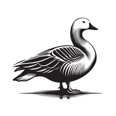 Bird Duck Silhouette vector art illustration. black bird vector design.