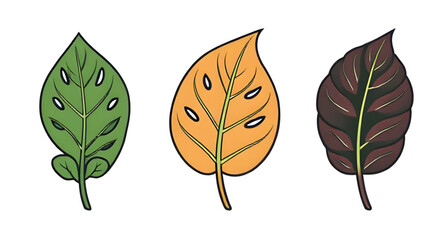 Fototapeta premium eco leaves set, organic leaves, garden leaves, plant leaves vector, leaves bundle, greenery set, foliage vector pack, exotic leaves, decorative leaves, jungle foliage, rainforest leaves, vibrant green