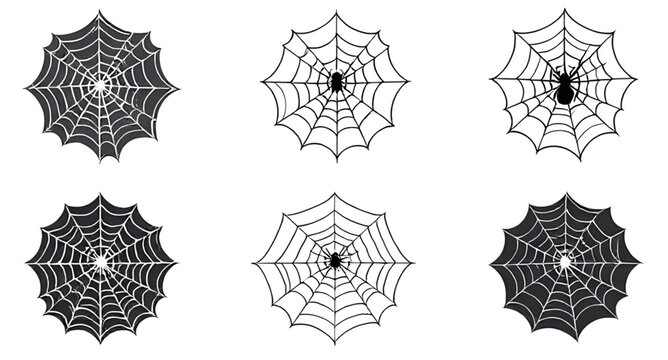 Web Shape