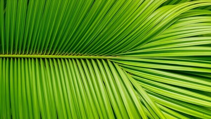Fototapeta premium AI Generated Background of Overlapping Green Palm Leaves, Natural Tropical Jungle Foliage Texture Viewed from Top for Seamless Design and Nature-Inspired Art