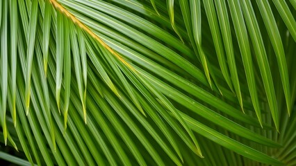 AI Generated Background of Overlapping Green Palm Leaves, Natural Tropical Jungle Foliage Texture Viewed from Top for Seamless Design and Nature-Inspired Art