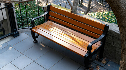 Sunlight shining through bare tree branches in early spring