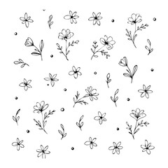 Delicate Botanical Doodles and Floral Elements