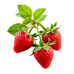 Fresh and Juicy Strawberries with Bright Green Leaves Isolated on White Background for Healthy Food Concept