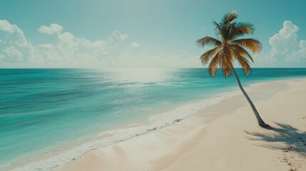 Serene Tropical Beach Scene with Palm Tree and Calm Ocean Waves