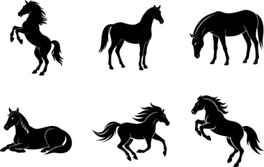 Fototapeta premium Elegant Horse Silhouettes in Various Poses